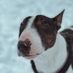 ERNEST🧸 - @bull_ernest - Instagram