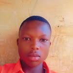 Ernest bulldozer - @ernestbulldozer - Instagram