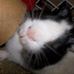 Ernest Chamberlain - Facebook