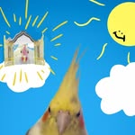 Ernest Cheah - @shibadab2010 - Instagram