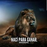 Ernest Cheek - @ernest.carris.16 - Instagram