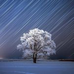 Ernest Cheung - @cheungernest - Instagram