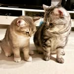 Wing Kuen Ernest Cheung - @cheung_ernest - Instagram
