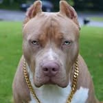 Ernesto Ching - @ching.ernesto - Instagram