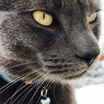 Ernest Choi - @boilerup.echo - Instagram