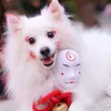 Ernest Chou - @ernest0006 - TikTok