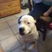 Ernie Clair - Facebook