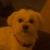 Ernest Clevenger - Facebook