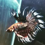 Ernest Coetzee - @ernestcoetzee - Instagram