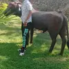 Ernest1 - @ernest.crewe - TikTok