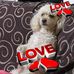 Ernest Crocker - Facebook