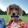 Ernest.cocker - @ernest.cocker - TikTok