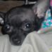 Ernest Cuellar - Facebook