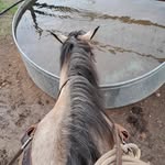 Ernest Davila - @edavila534 - Instagram