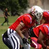 ernestodavila_ - @ernestodavila_ - TikTok