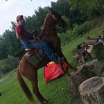 Ernest Dodd - @ernest.dodd.735 - Instagram