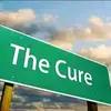Doctor Ernest herbal cure - @dollar_ernest_herbal - TikTok