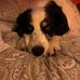 Ernest Duff - Facebook