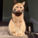 @ernest_fisher - Instagram