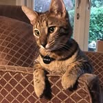 @ernest_fishercat - Instagram