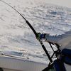 Fishersnest - @fishernest - TikTok
