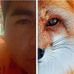 Ernest Fox - Facebook