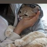 Ernest Galloway - @kayepax673 - Instagram