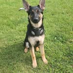 Ernest Gregory Bogdan - @ernestgregorybogdan - Instagram