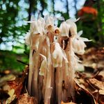 Ernest Gunnell - @gunnellernest - Instagram