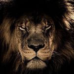 Ernest Hamlette - @ernesthamlette - Instagram
