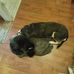 Ernest Harmon - Facebook