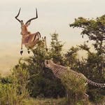 ERNEST HEBERT - @ernesthebert - Instagram