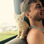 Angus Ernest Hemmingway - @roadtrippingkitten - Instagram