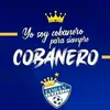 herbert ernesto - @herberternesto - TikTok