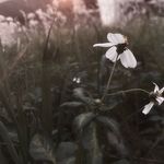 Ernest Kam - @ernest_kam - Instagram