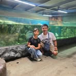 Ernest Karl Alfane - Facebook