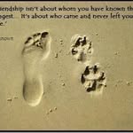 Kenneth Ernest - @kennethernest4904 - Instagram