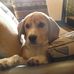 Ernest Klinkert - Facebook