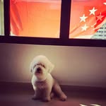 Ernest Koh - @ernest.k23 - Instagram