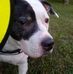 Ernest Kohlhund - Facebook