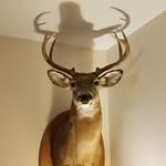 Ernest Langlois - @langloisernest - Instagram