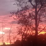 Ernest larose - @larose.ernest - Instagram