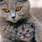 Ernest Laskowski - Facebook