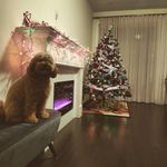 Ernest Lau - @elau8840 - Instagram