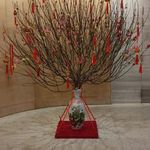 Ernest Lau Wai Kwok - @thkcbuilding - Instagram