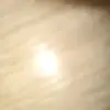 Anest_Lavender - @anest_lavender - TikTok