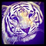 ernest leggett - @ernestleggett - Instagram
