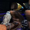 Ernest. - @ernestluxe - TikTok