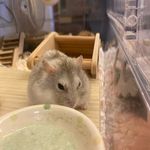 梁珀瑜Ernest Leung - @ernestleung0508 - Instagram