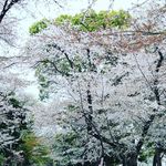 Ernest Leung - @hansontim1237 - Instagram